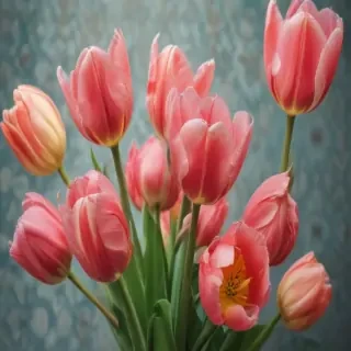 tulips wallpaper aesthetic