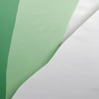 white and green background