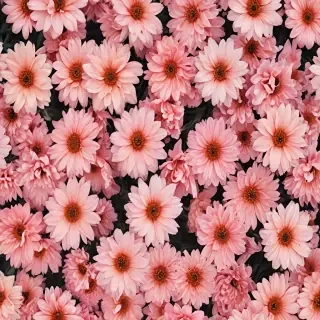flower aesthetic wallpaper