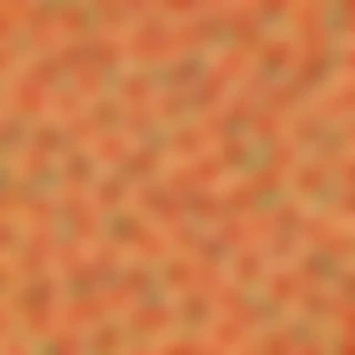 pizza clipart transparent background