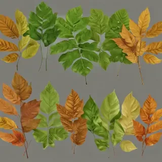 leaves png transparent