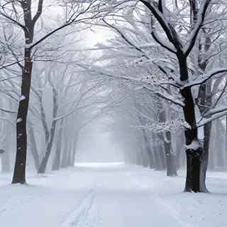 snow iphone background