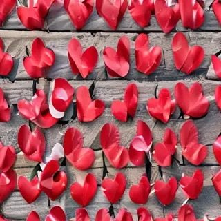 background pictures of love