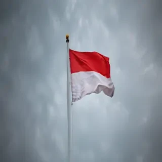 polish flag