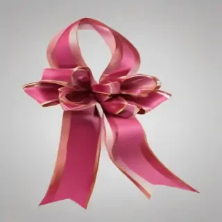 bow png
