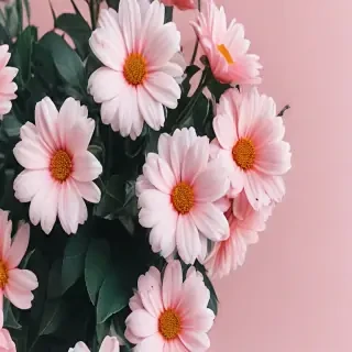 cute aesthetic flower wallpapers