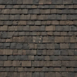 shingles images