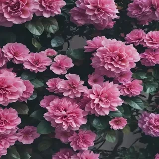 free iphone wallpapers aesthetic