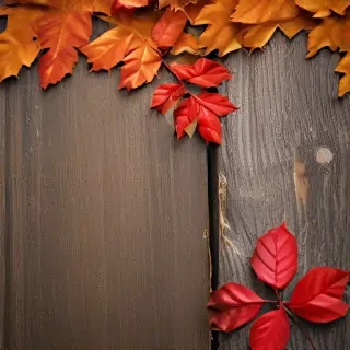 wallpaper autumn iphone
