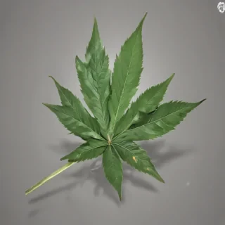 pot leaf png