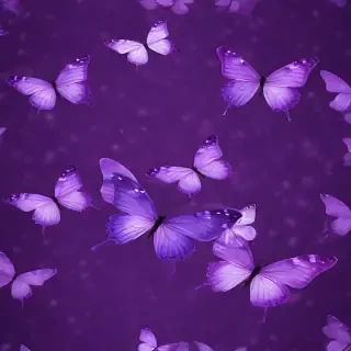 purple wallpapers butterfly