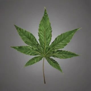 pot leaf png