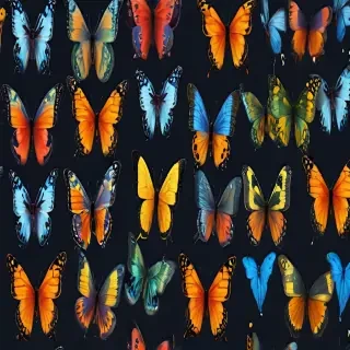 png butterflies
