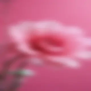 cute pink wallpapers