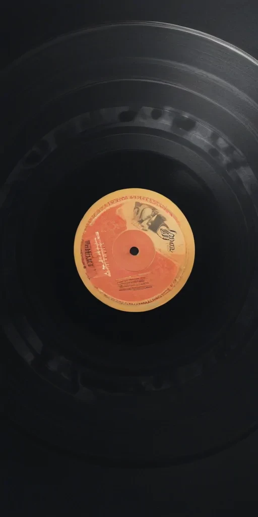 vynil record png