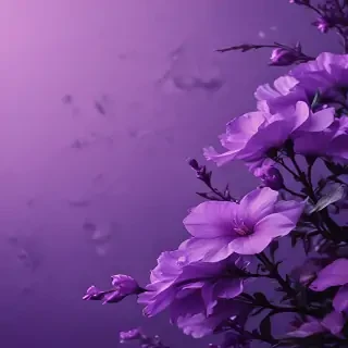 aesthetic wallpapers iphone purple