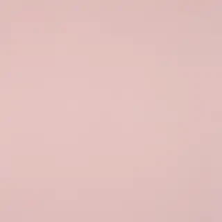 plain light pink wallpaper