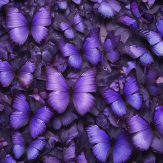 purple butterflies wallpaper