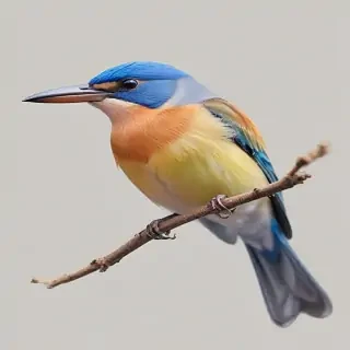 bird transparent