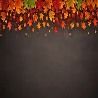 fall wallpaper