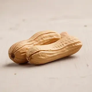 peanut png