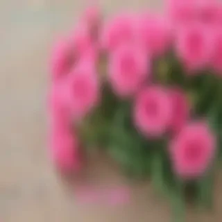 hello june images