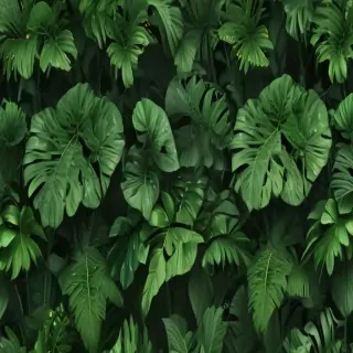 aesthetic wallpapers green