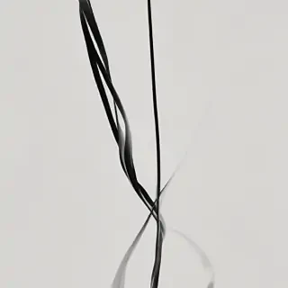 black line png