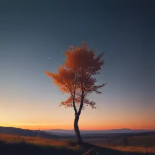 iphone wallpapers aesthetic