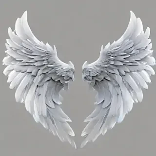 angel wings transparent background