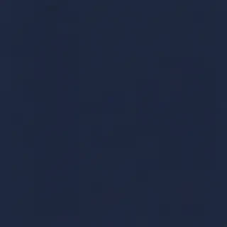 navy blue bg