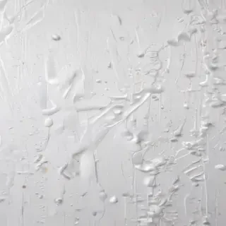 white background wallpaper