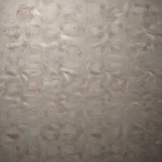 texture png transparent