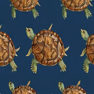 turtle wallpaper