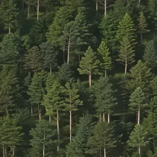 background trees