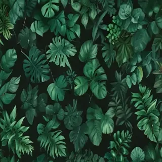 green backgrounds aesthetic