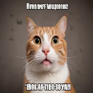 funny background pics
