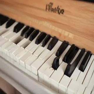 piano keys