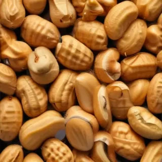 peanut png