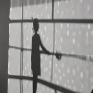 window shadow