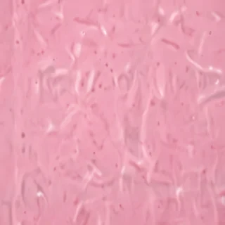 phone wallpaper pink