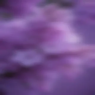 aesthetic lilac wallpaper
