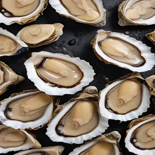 oysters png