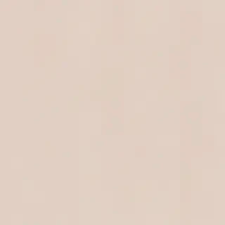 aesthetic neutral wallpaper