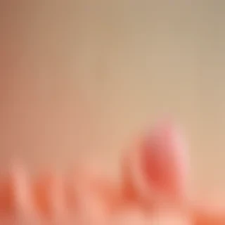 peach background wallpaper
