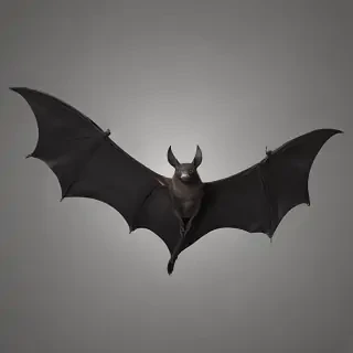 bat wings png