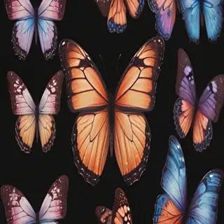 butterfly aesthetic