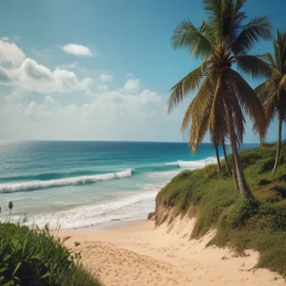 summer iphone backgrounds