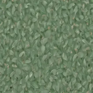 sage green photos