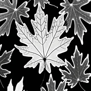 leaf picture black and white